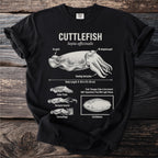 Cuttlefish scientific illustration with labels, body length, and behavioral traits.