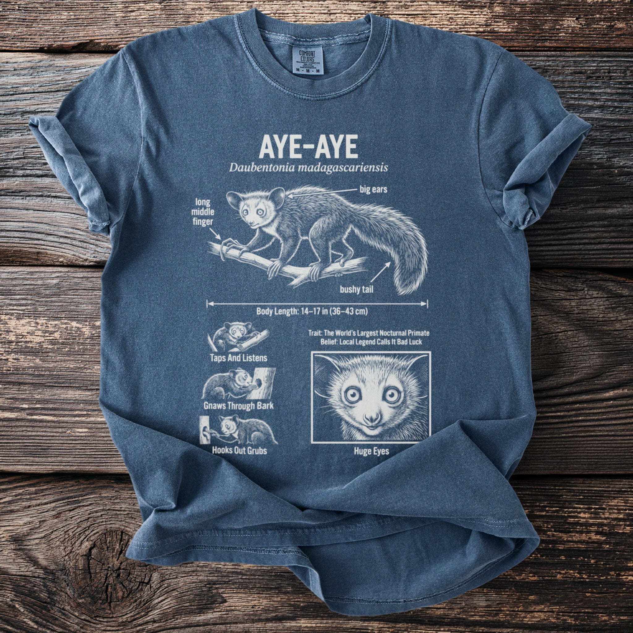 Aye-aye scientific illustration t-shirt with labeled features and body length.