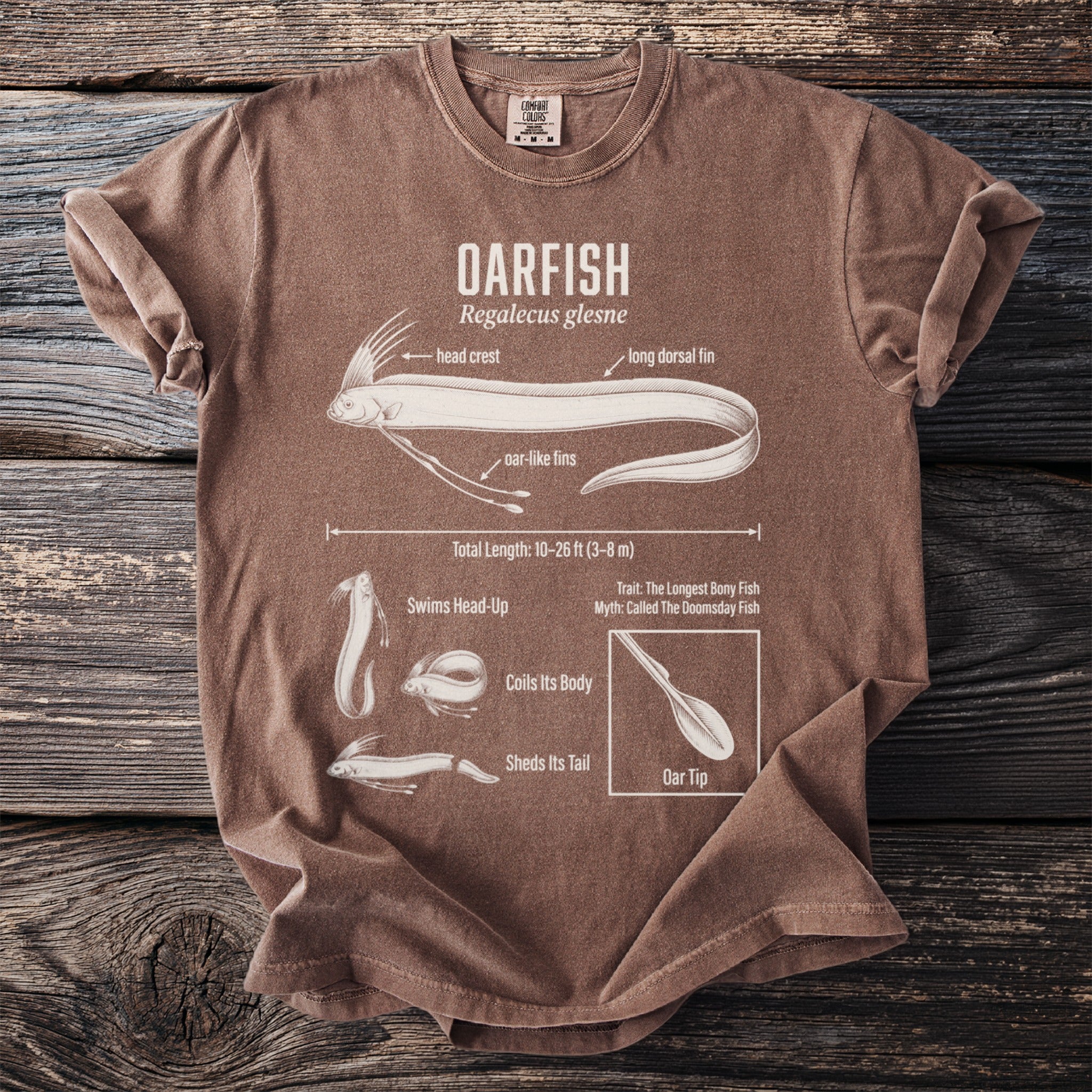 Brown t-shirt with an oarfish diagram showing its features and size.
