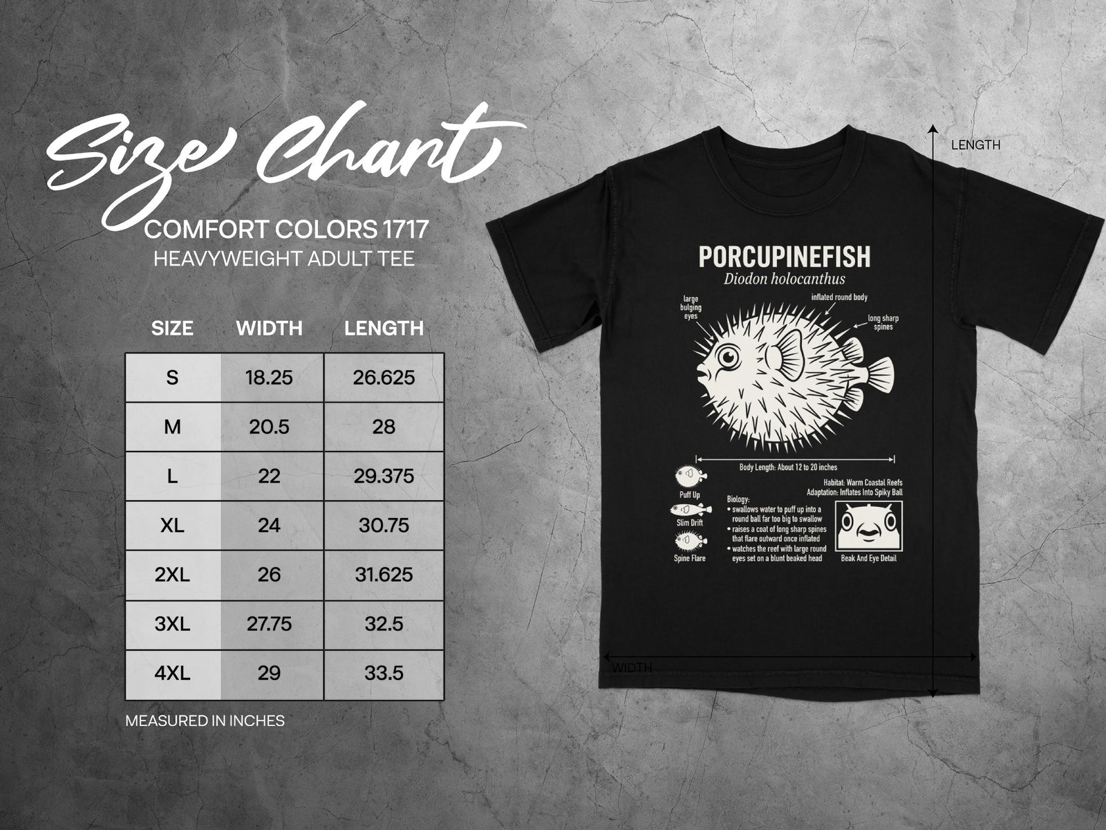 Comfort Colors 1717 heavyweight adult tee size chart with porcupinefish graphic.