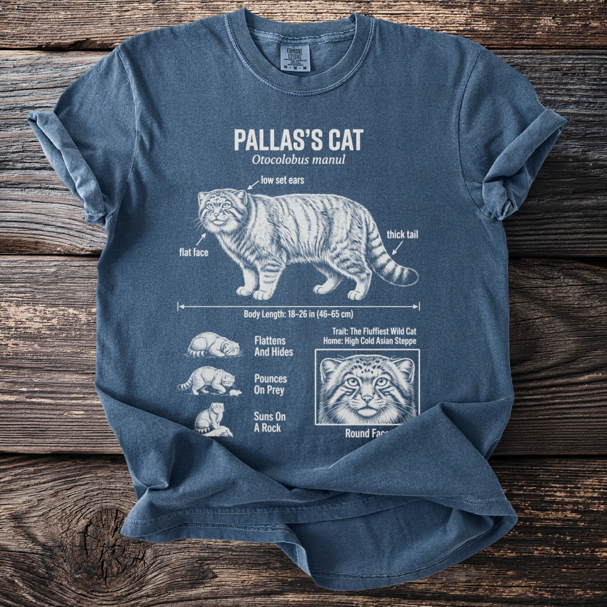 Blue t-shirt with Pallas's Cat illustration and facts.