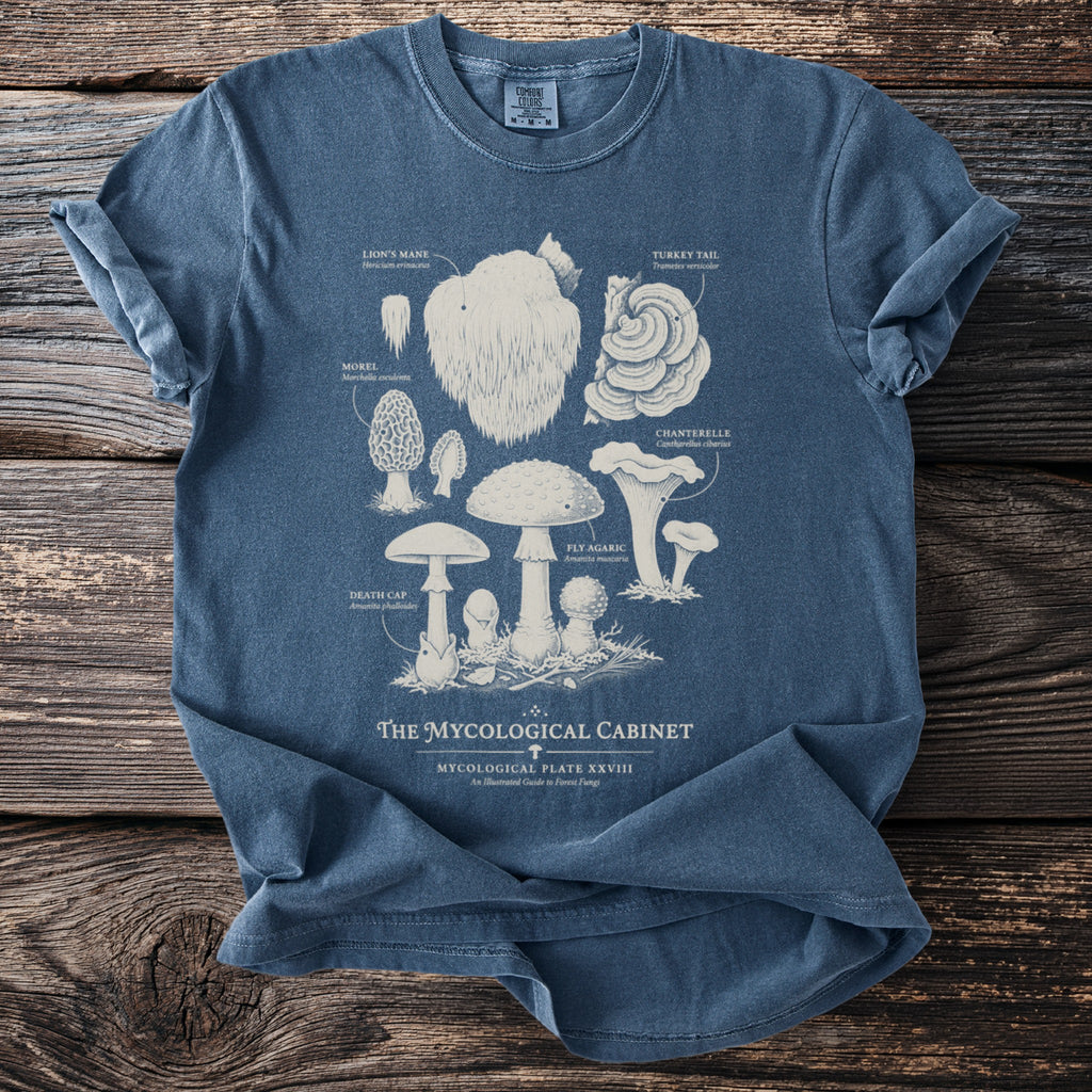 Blue t-shirt with illustrated fungi: Lion's Mane, Morel, Death Cap, Fly Agaric, Chanterelle, Turkey Tail.