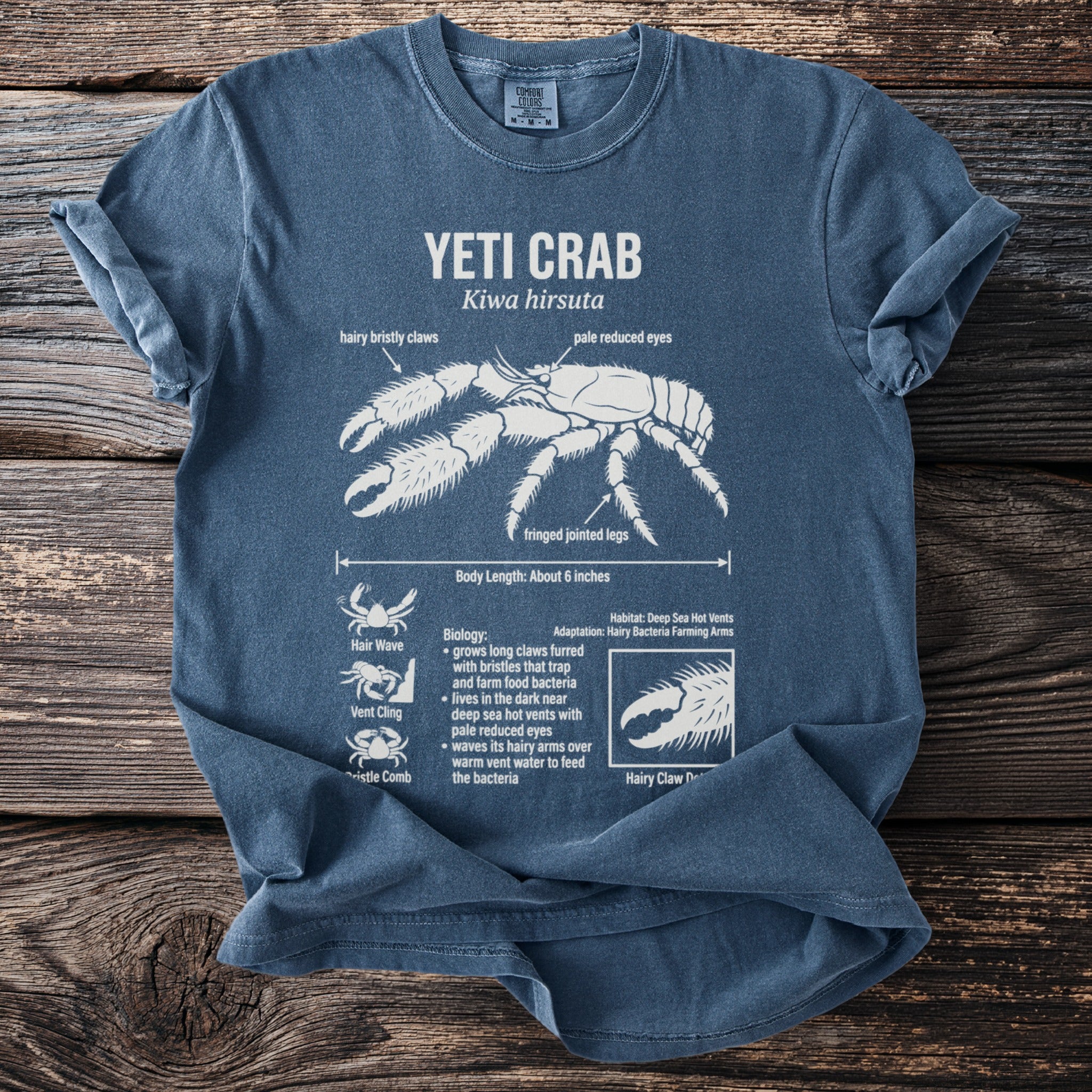 Blue t-shirt with white graphic of a yeti crab, its features labeled.