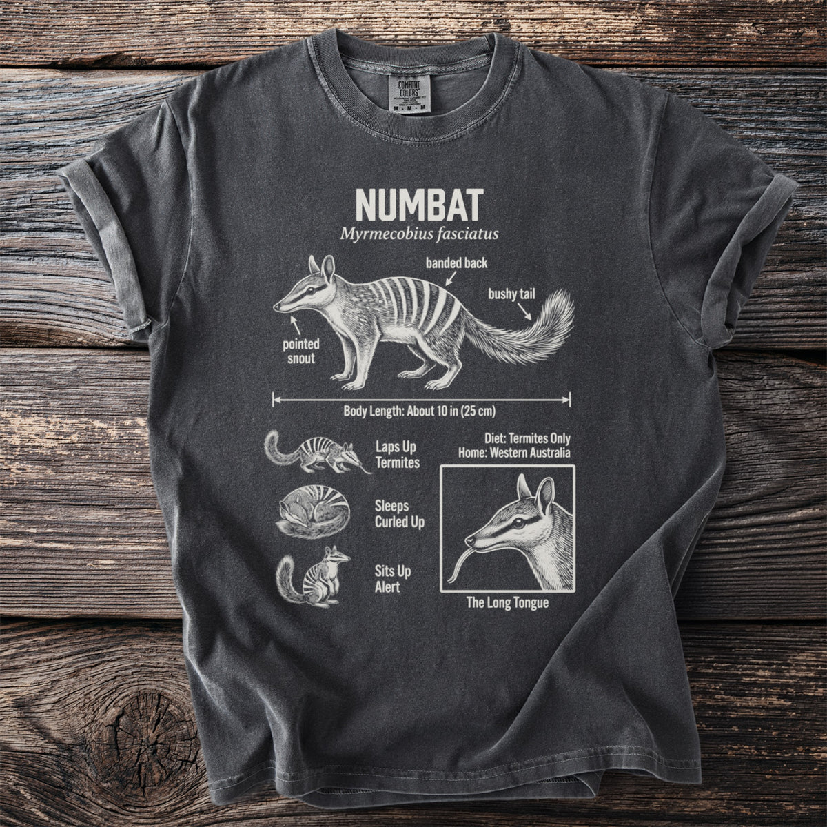Dark grey t-shirt with an illustration and facts about the numbat.