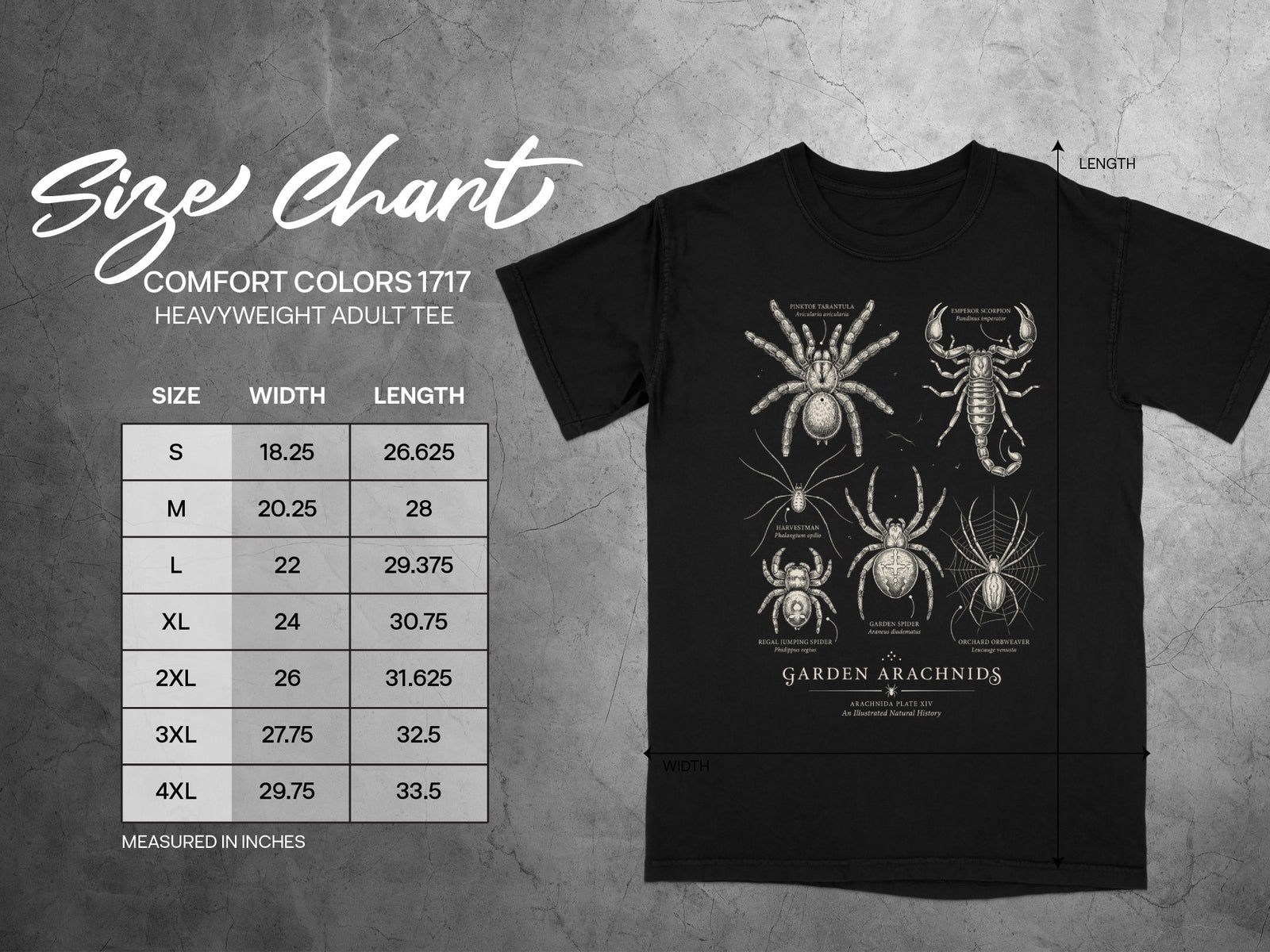Black t-shirt with size chart and illustrations of spiders and scorpion.