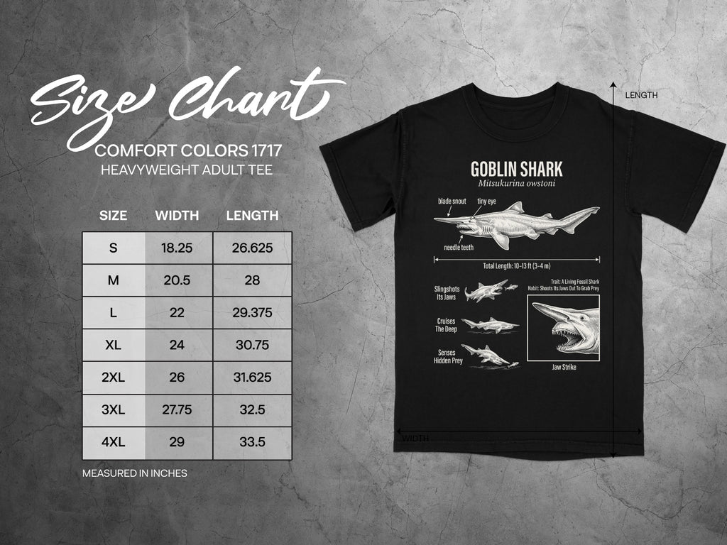 Comfort Colors 1717 garment size chart in inches.