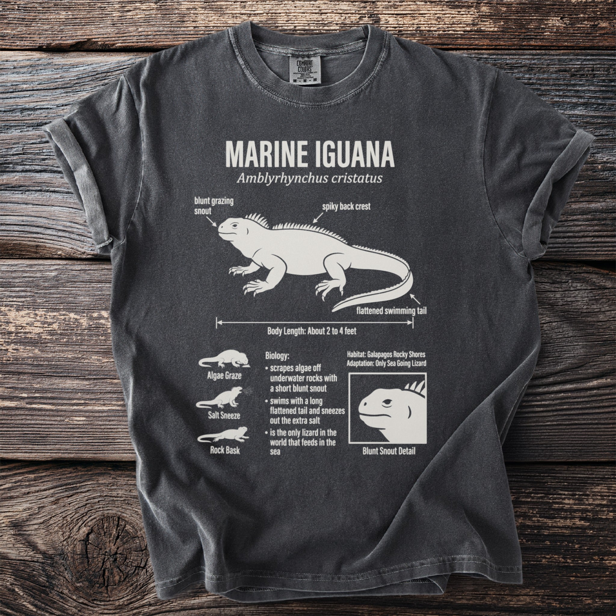 Marine Iguana diagram on t-shirt, showing anatomy and biology of the sea lizard.