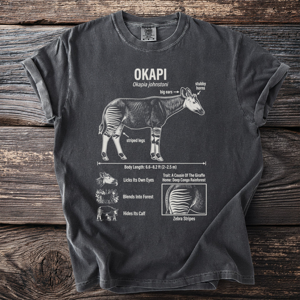 Okapi diagram on a charcoal t-shirt showing anatomy and its striped legs.