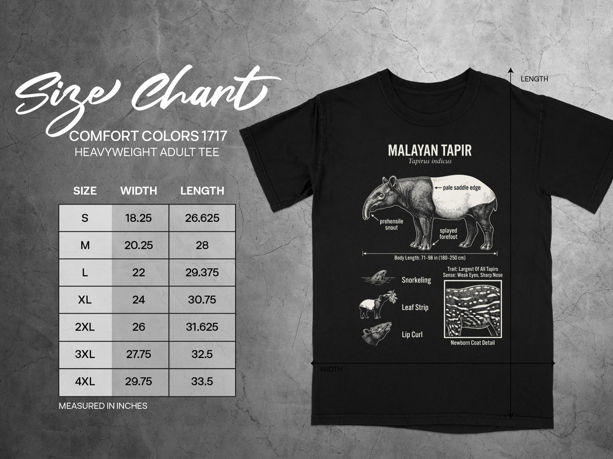 Comfort Colors 1717 heavyweight adult tee size chart with Malayan Tapir illustration.