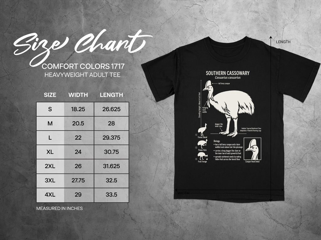 Comfort Colors 1717 size chart with Southern Cassowary illustration.