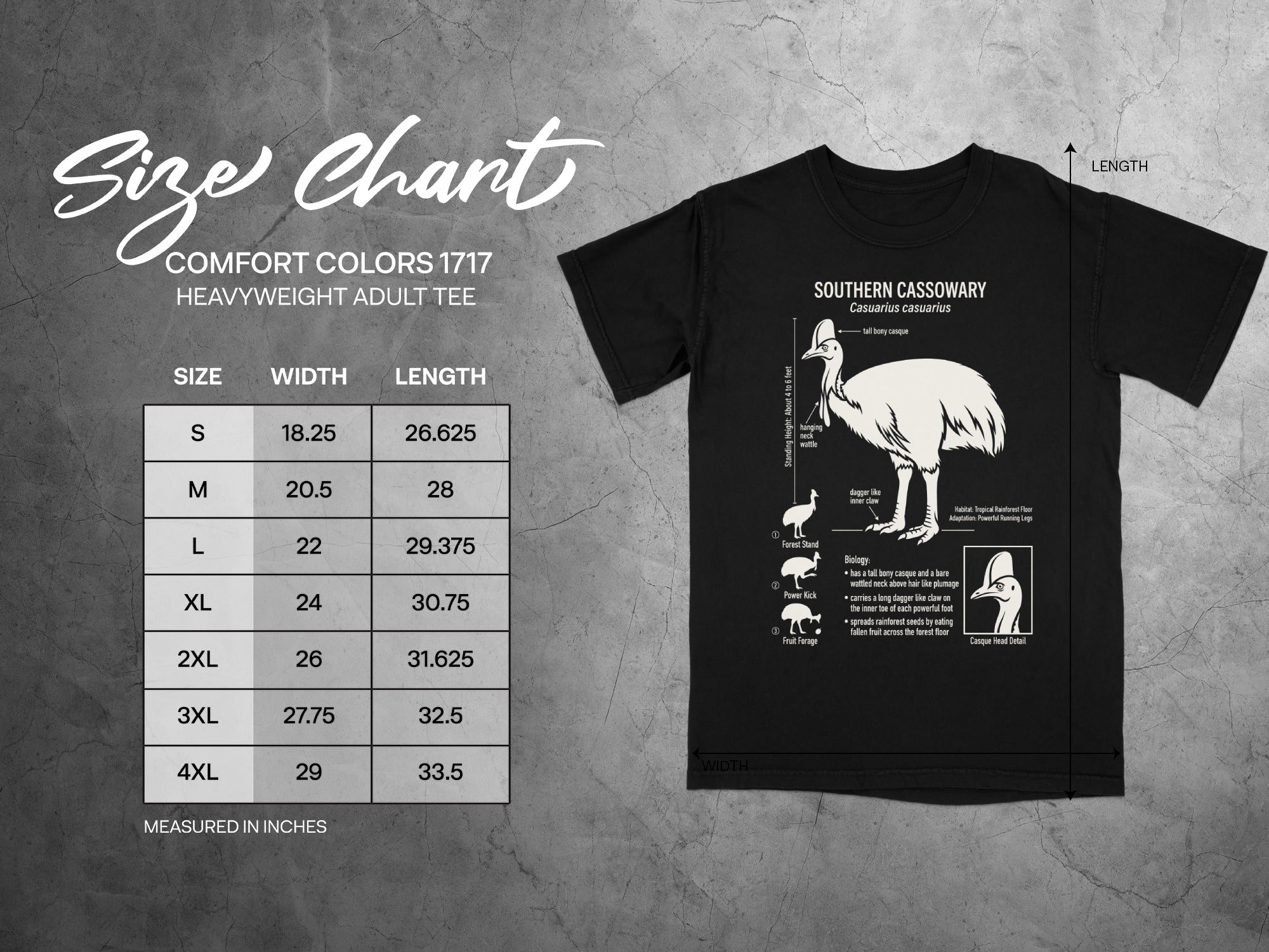 Comfort Colors 1717 size chart with Southern Cassowary illustration.