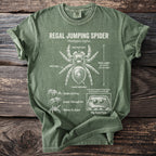 Green t-shirt with Regal Jumping Spider anatomy diagram featuring text and illustrations.