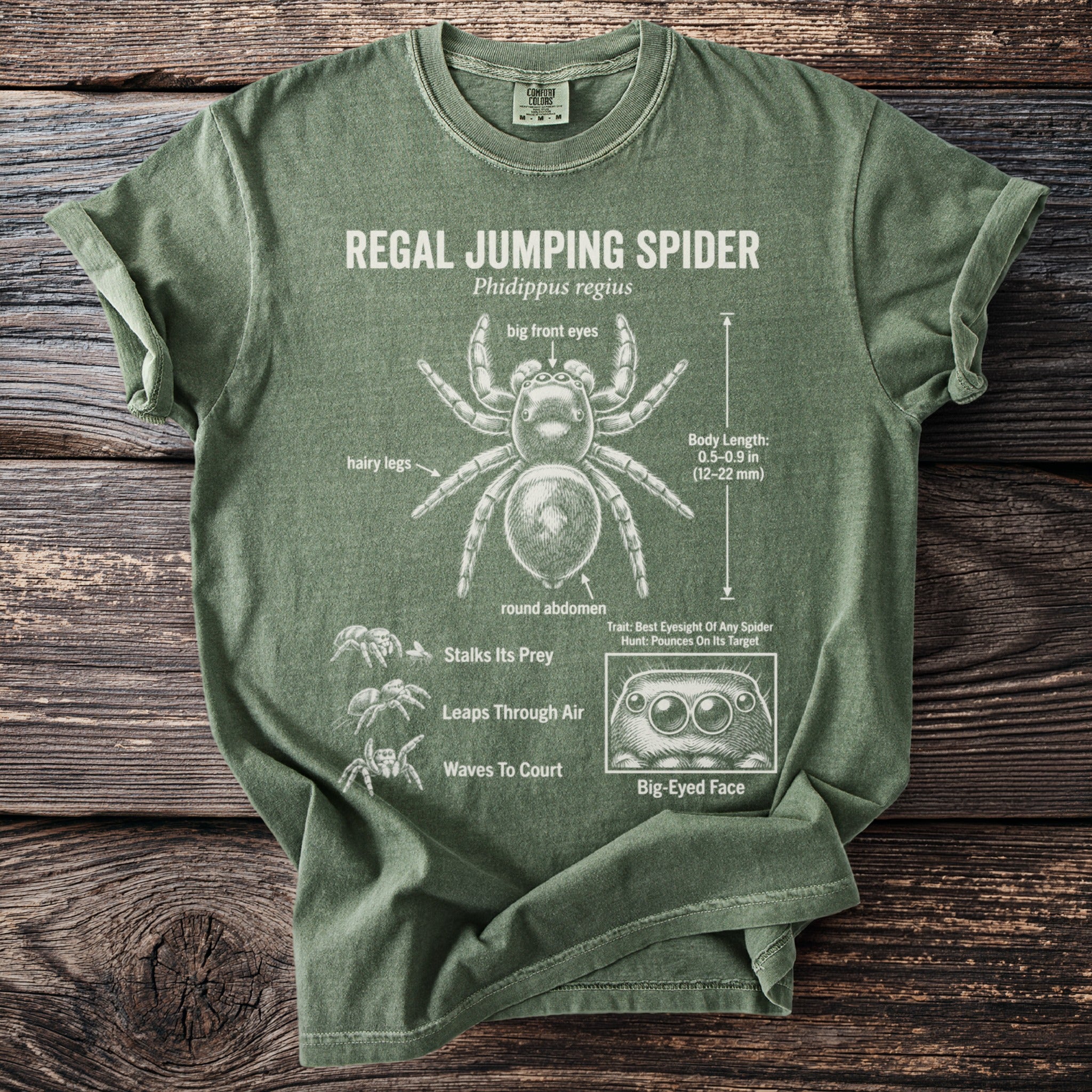 Green t-shirt with Regal Jumping Spider anatomy diagram featuring text and illustrations.