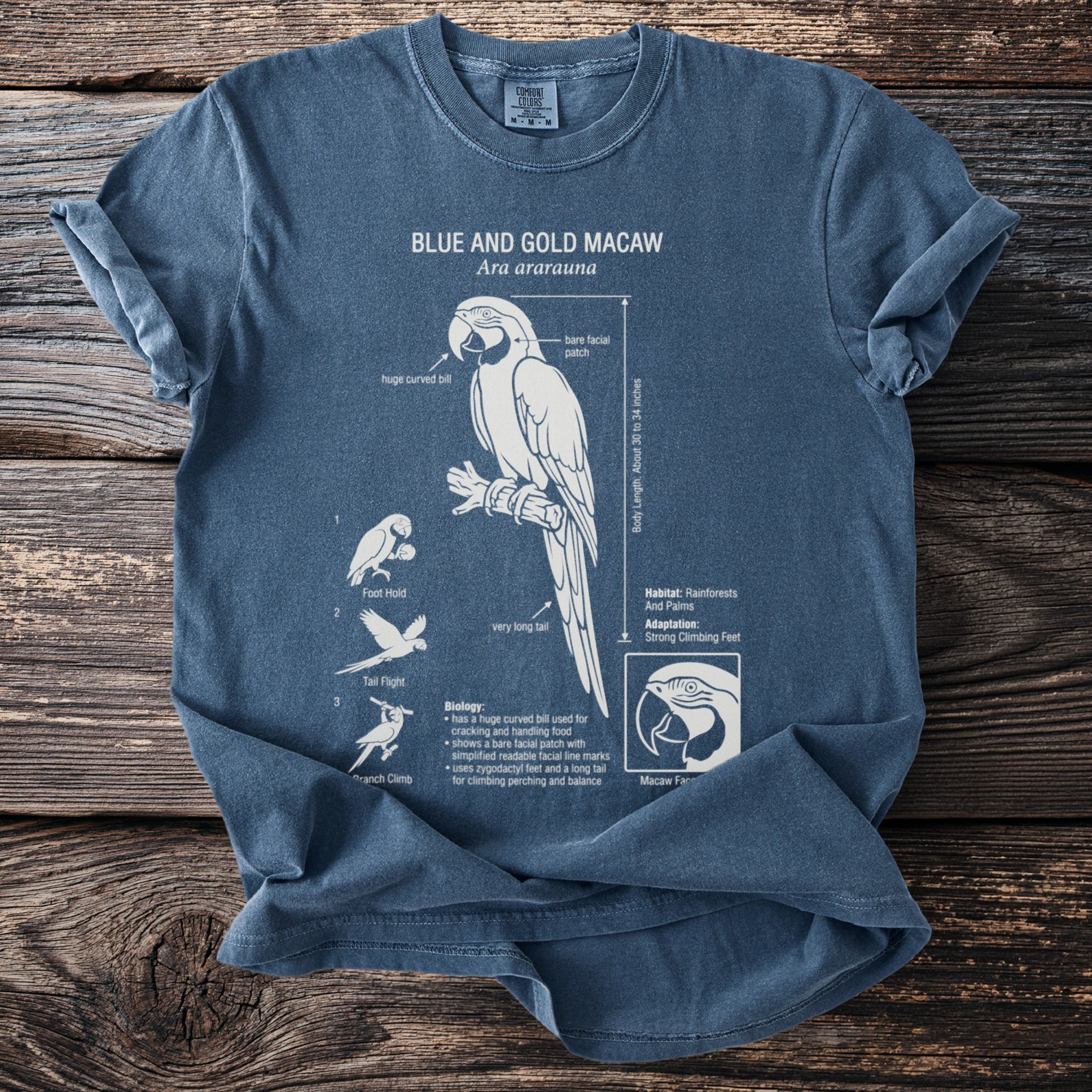 Blue and Gold Macaw diagram and biology facts on a blue t-shirt.