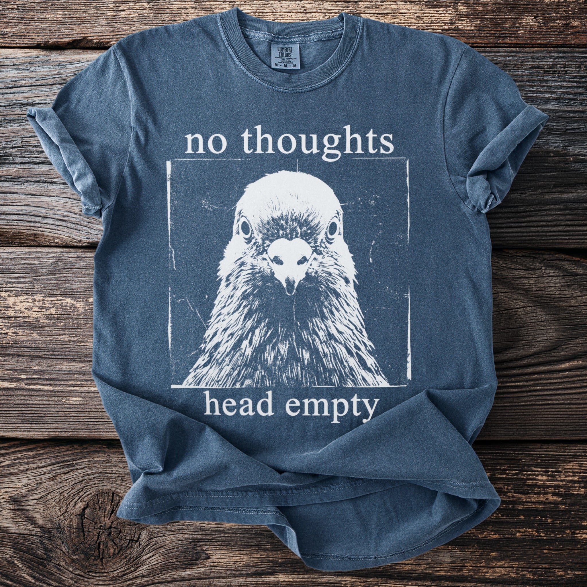 Blue t-shirt with a pigeon graphic and text "no thoughts head empty".