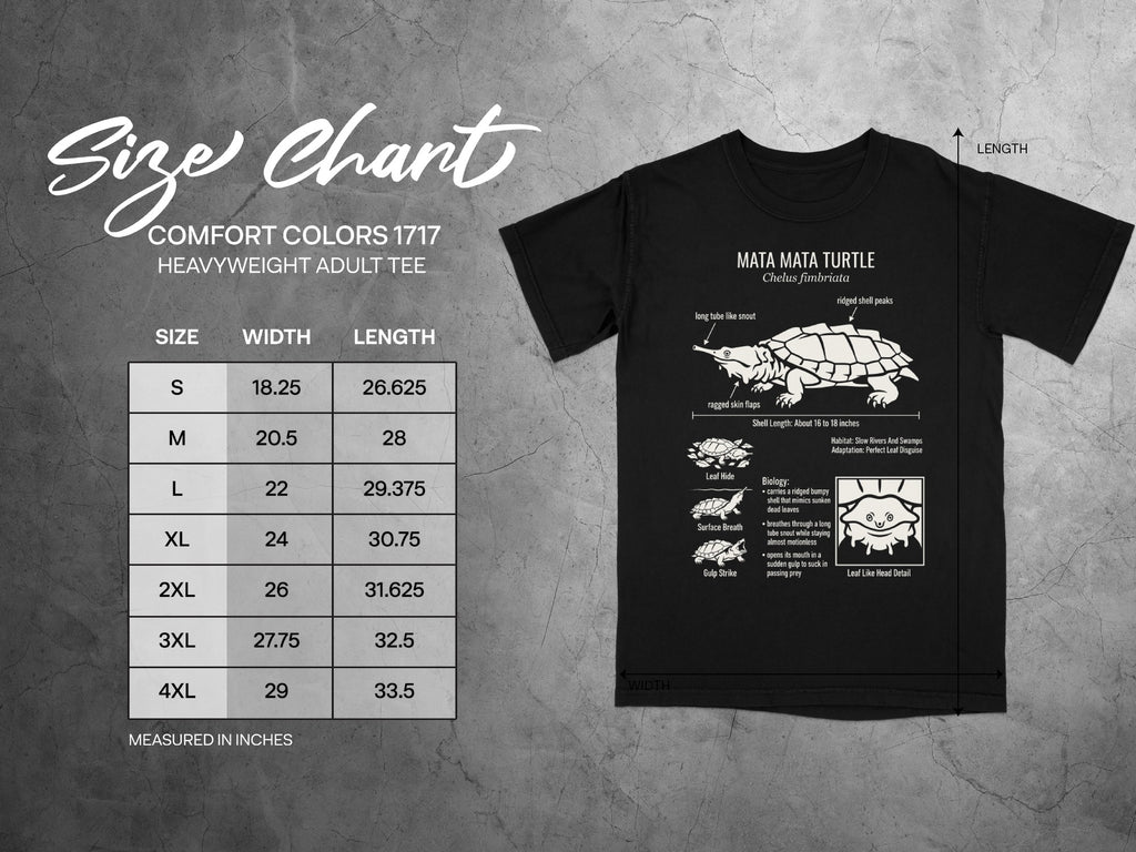 Mata Mata Turtle t-shirt with size chart and illustration.