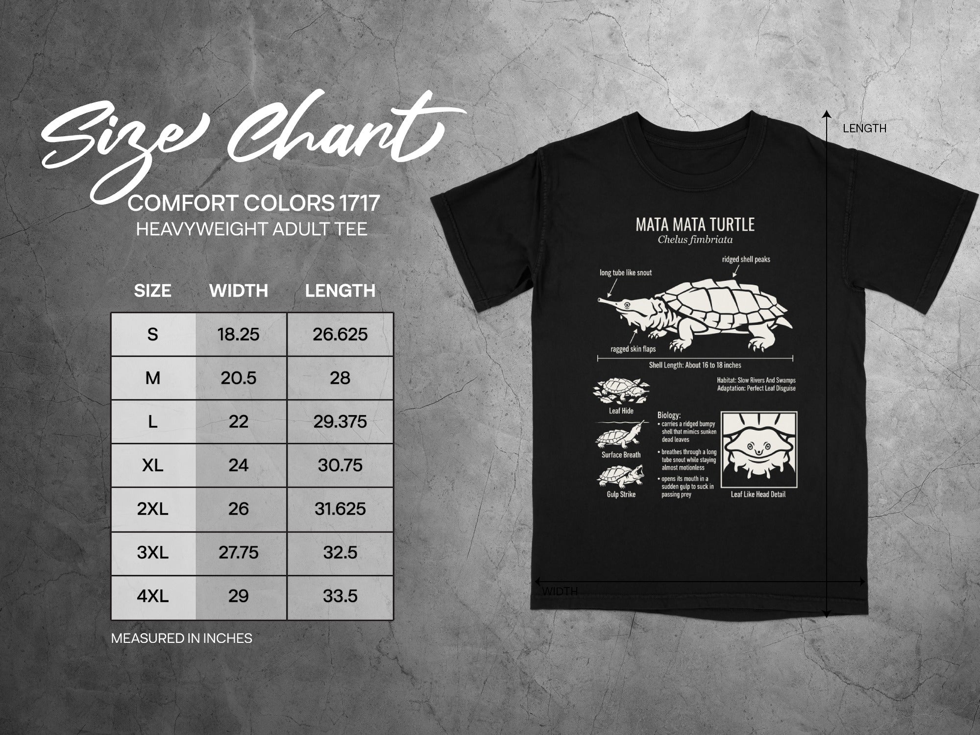 Mata Mata Turtle t-shirt with size chart and illustration.