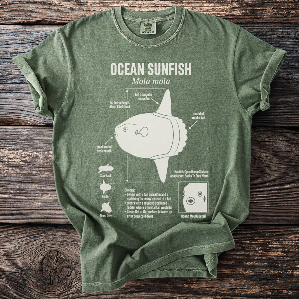 Green t-shirt with "OCEAN SUNFISH Mola mola" and illustrated sunfish anatomy.