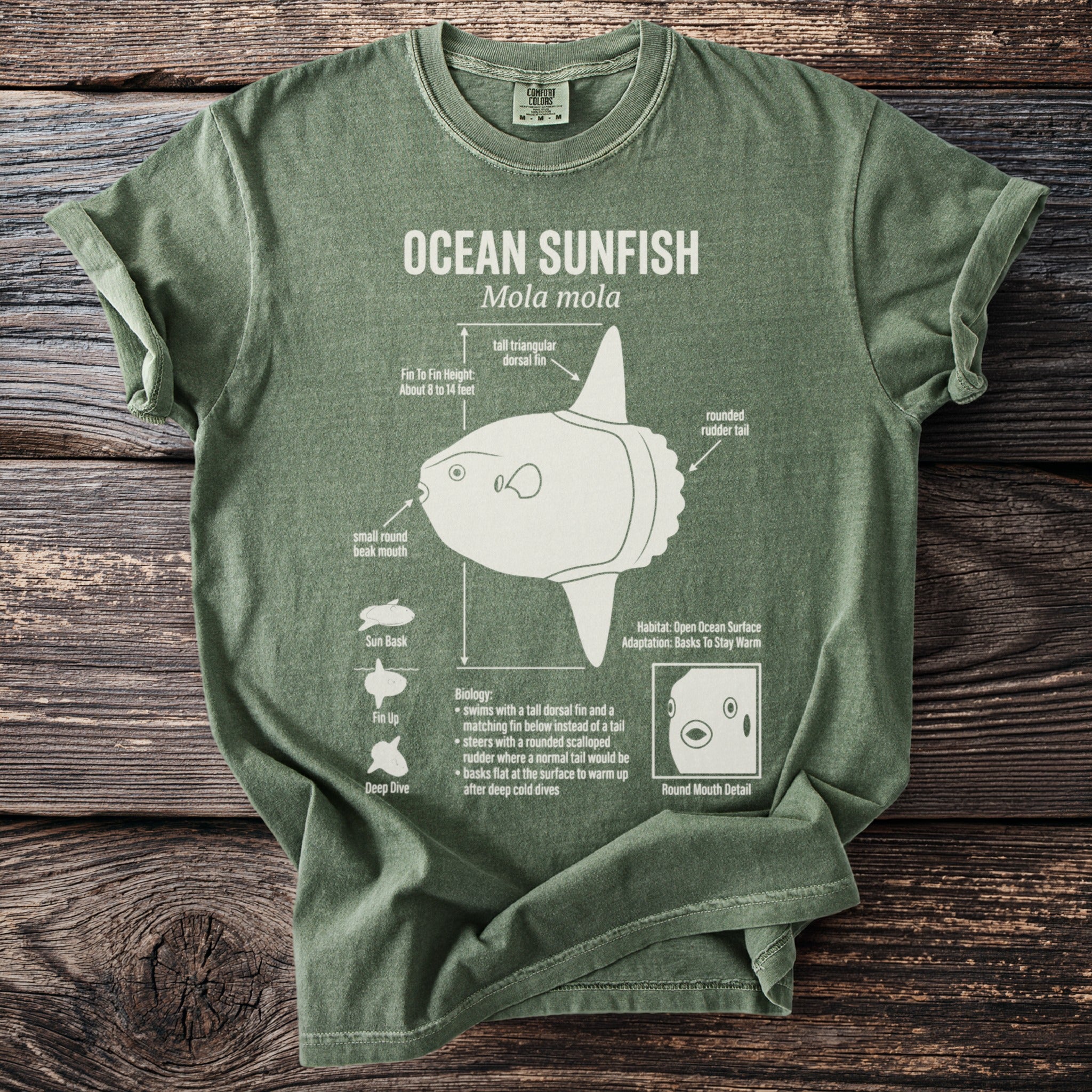Green t-shirt with "OCEAN SUNFISH Mola mola" and illustrated sunfish anatomy.