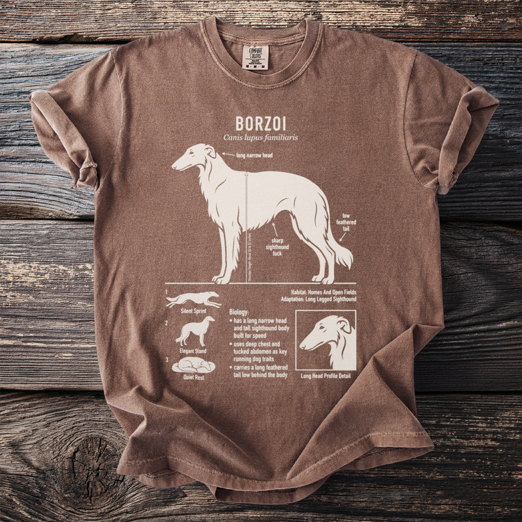 Brown t-shirt with a white diagram of a Borzoi dog and its biological traits.