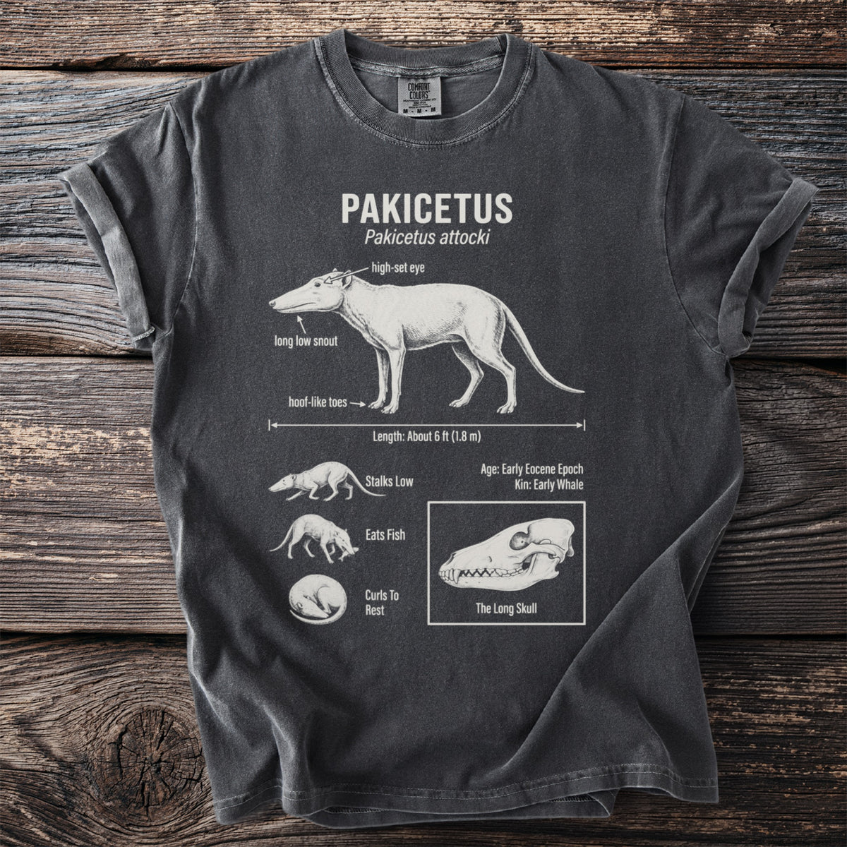 Dark t-shirt with Pakicetus illustration and anatomical details.