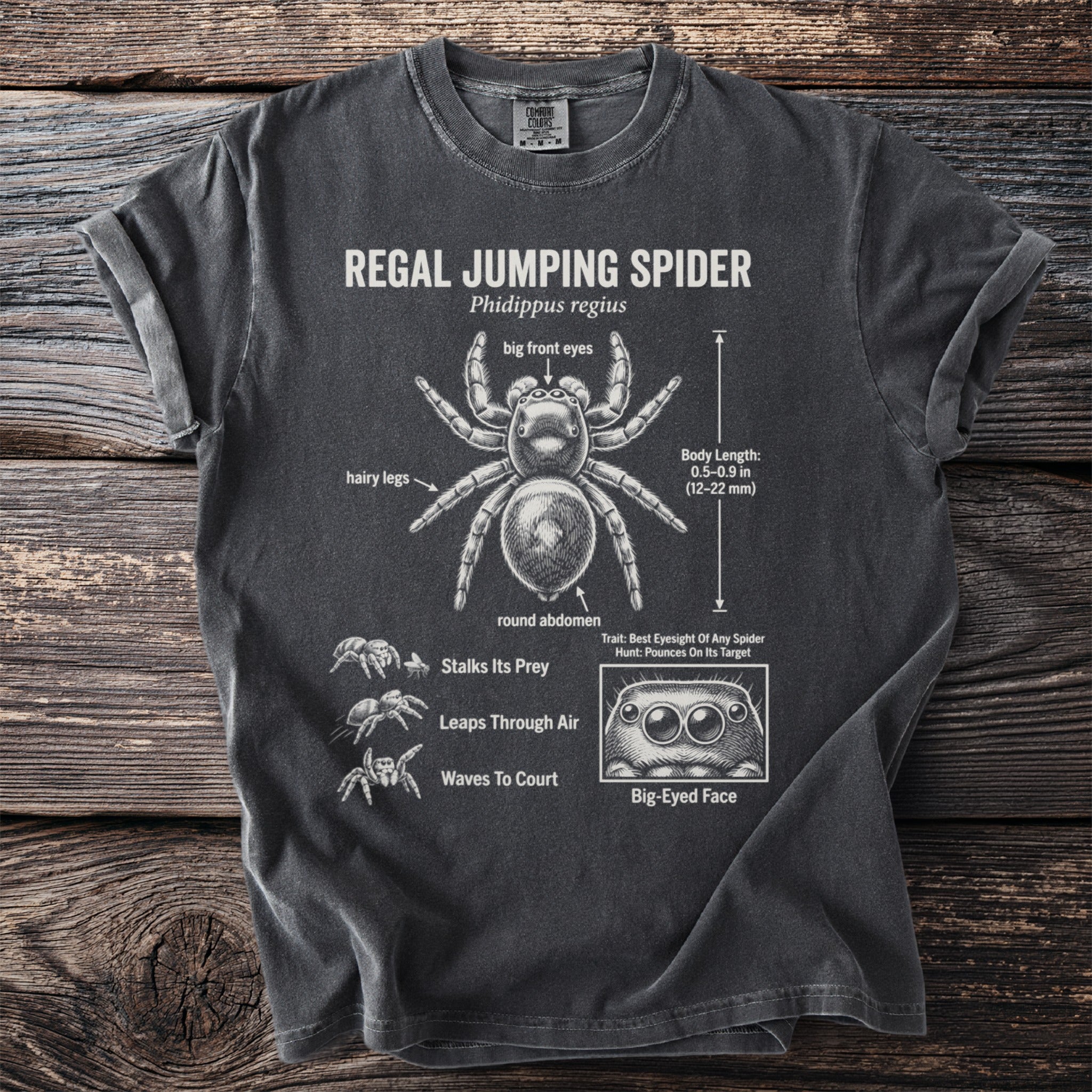 Regal Jumping Spider diagram on a charcoal t-shirt with detailed anatomy and behaviors.