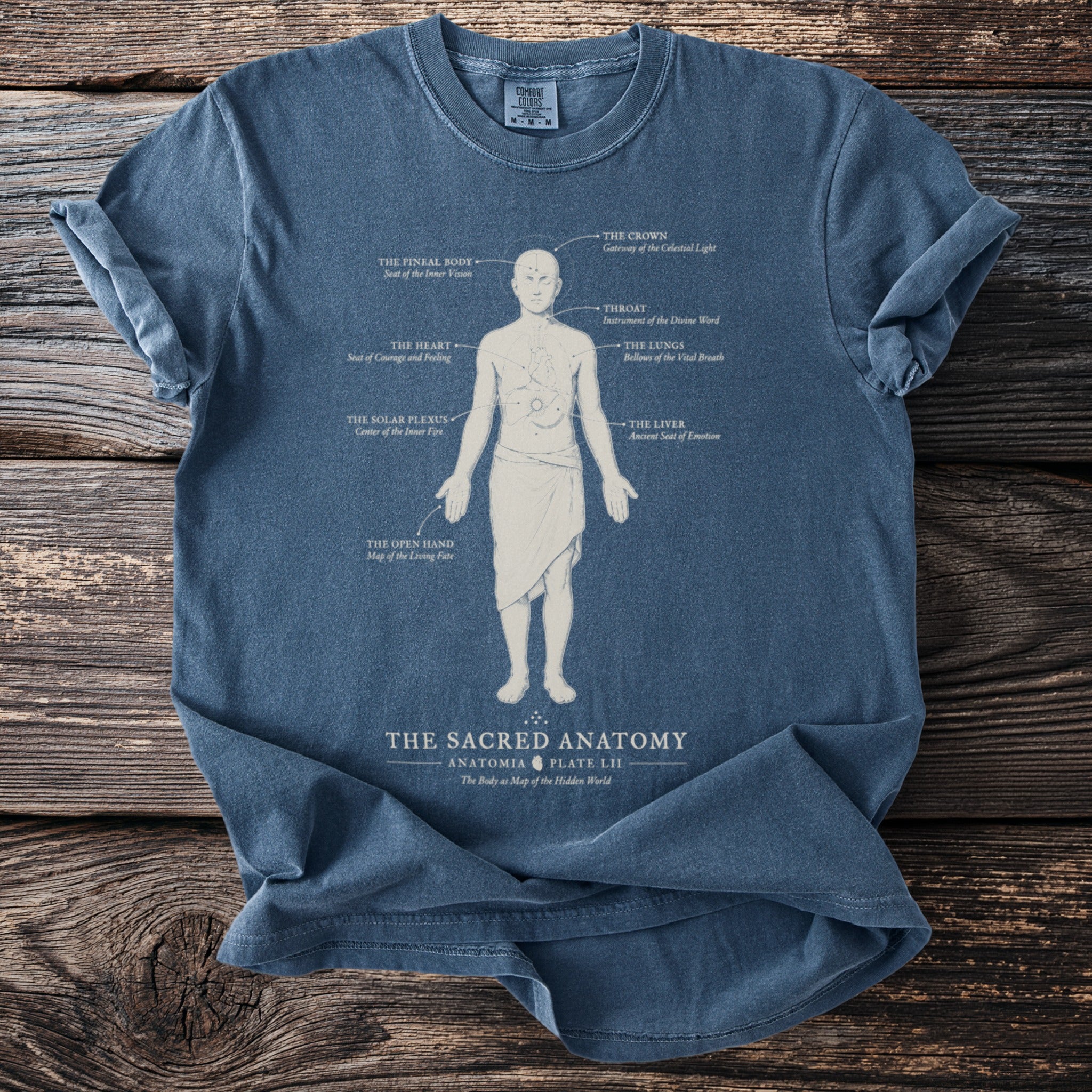 Blue t-shirt with anatomical diagram titled "The Sacred Anatomy" and body part labels.