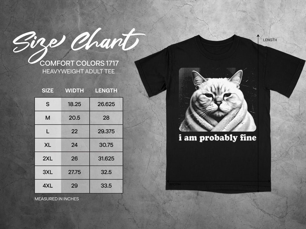 Comfort Colors 1717 heavyweight adult tee size chart with cat graphic.