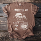 Leafcutter Ant diagram with labeled anatomy, behaviors, and fungus farm.