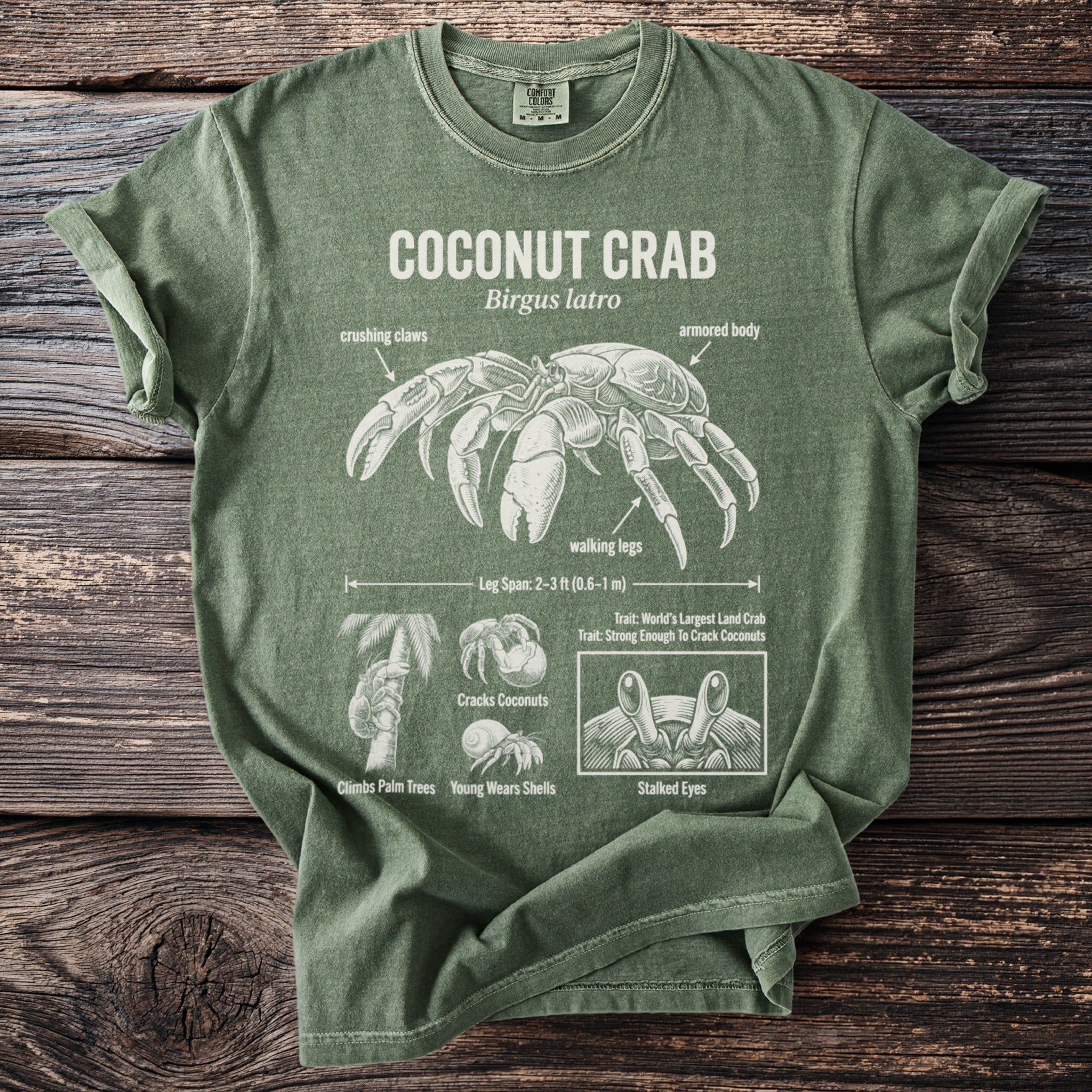 Green t-shirt with coconut crab diagram, showing anatomy labeled: crushing claws, armored body, and walking legs.