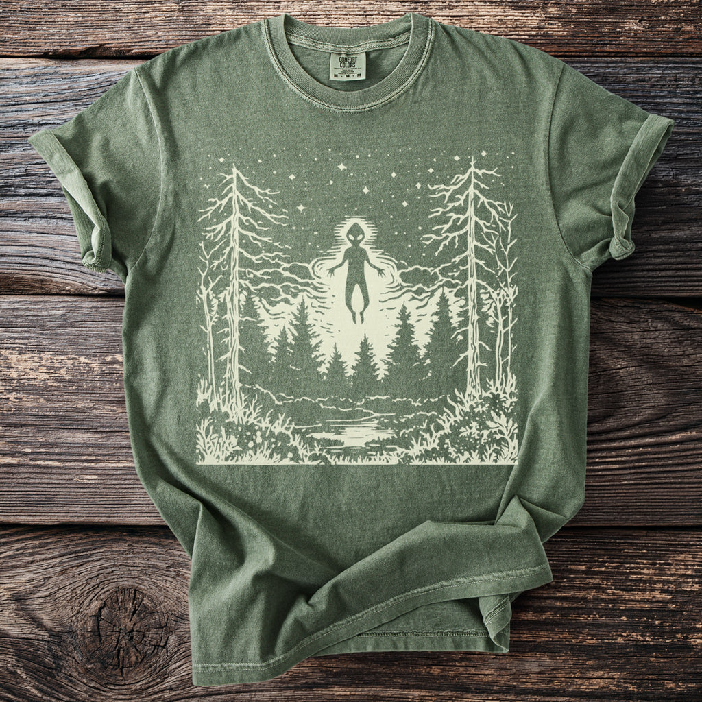 The Visitor: Light Above the Firs