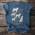 A blue t-shirt features a diagram of six wolf species with their names and scientific classifications.