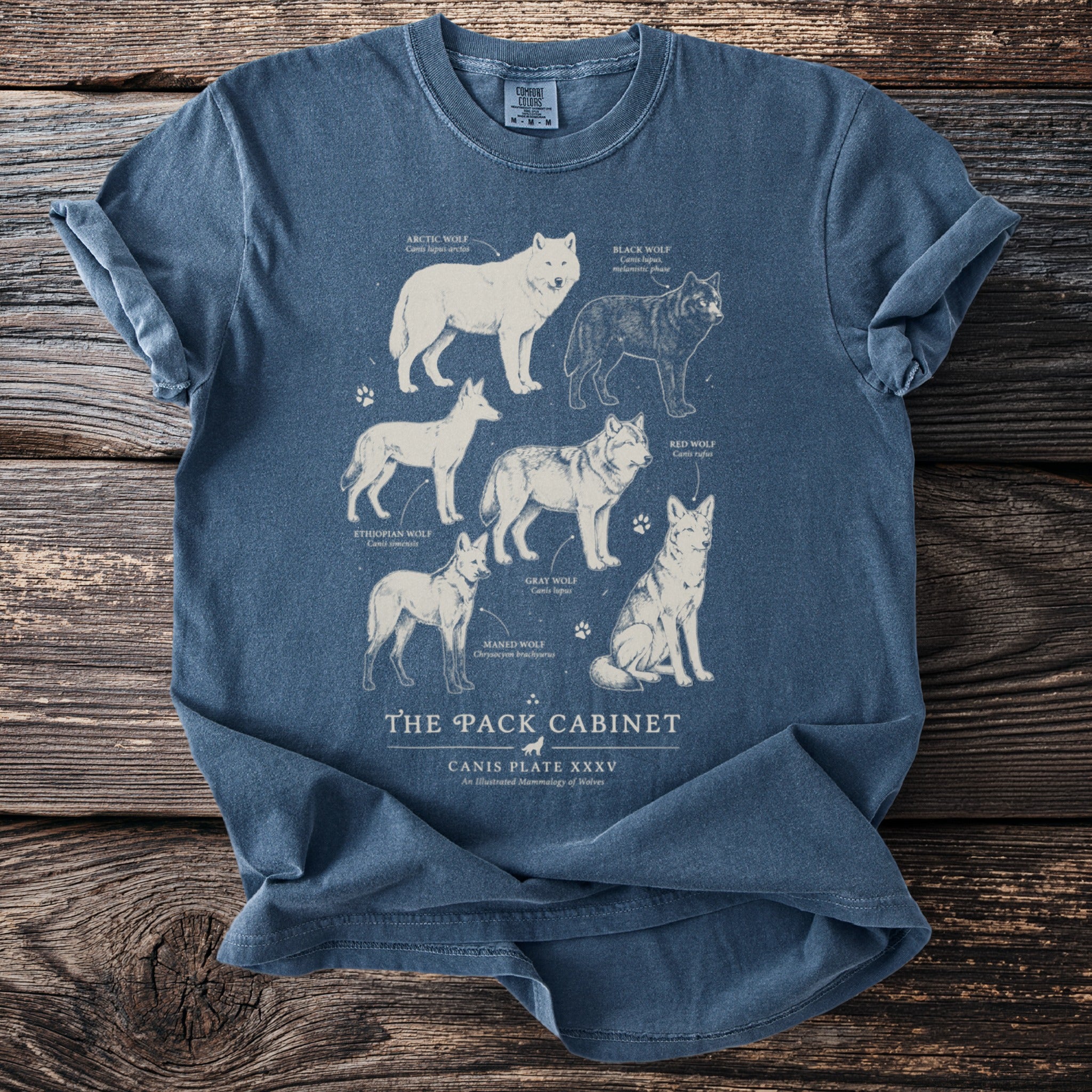 A blue t-shirt features a diagram of six wolf species with their names and scientific classifications.