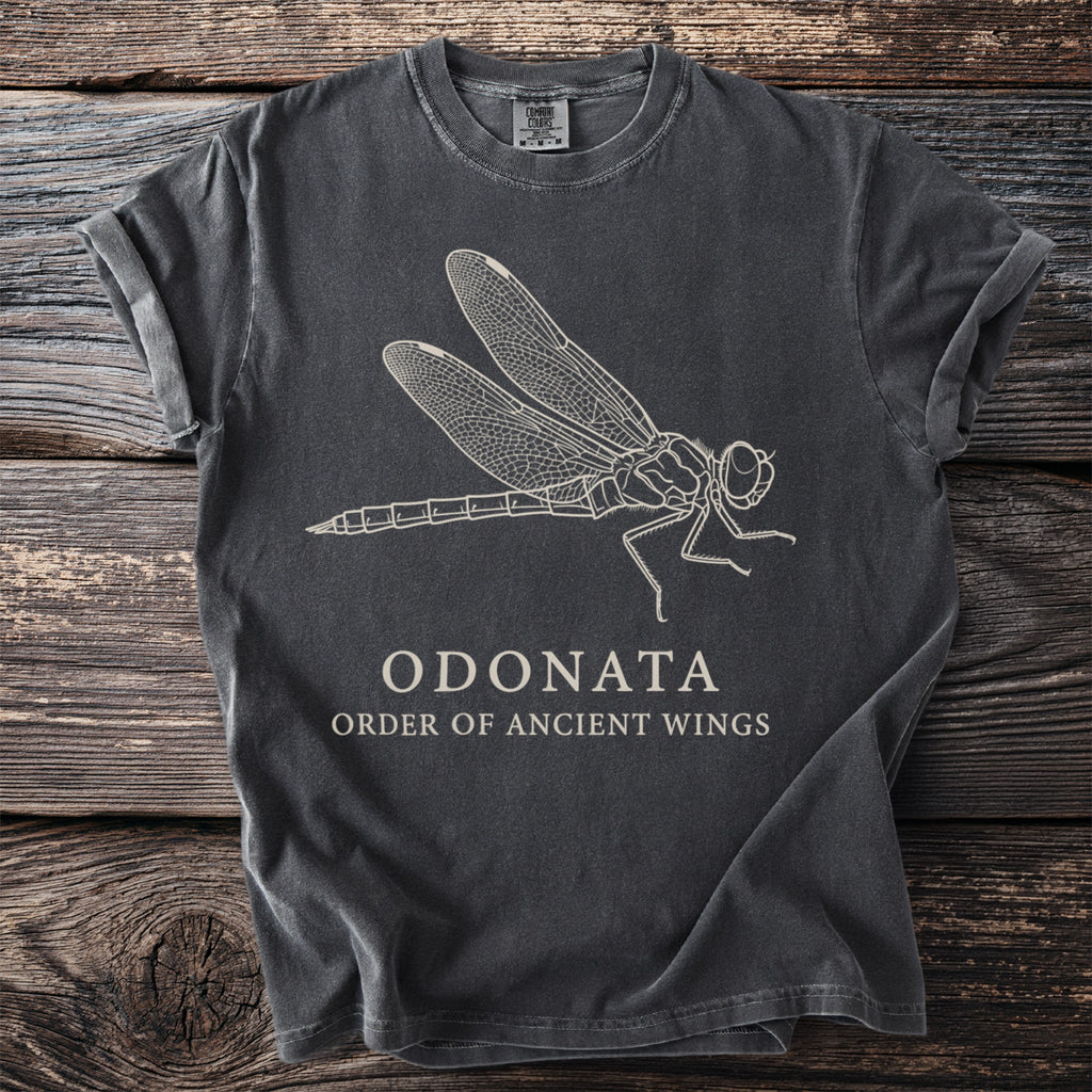 Dark gray t-shirt with line art of a dragonfly and the text "ODONATA ORDER OF ANCIENT WINGS".