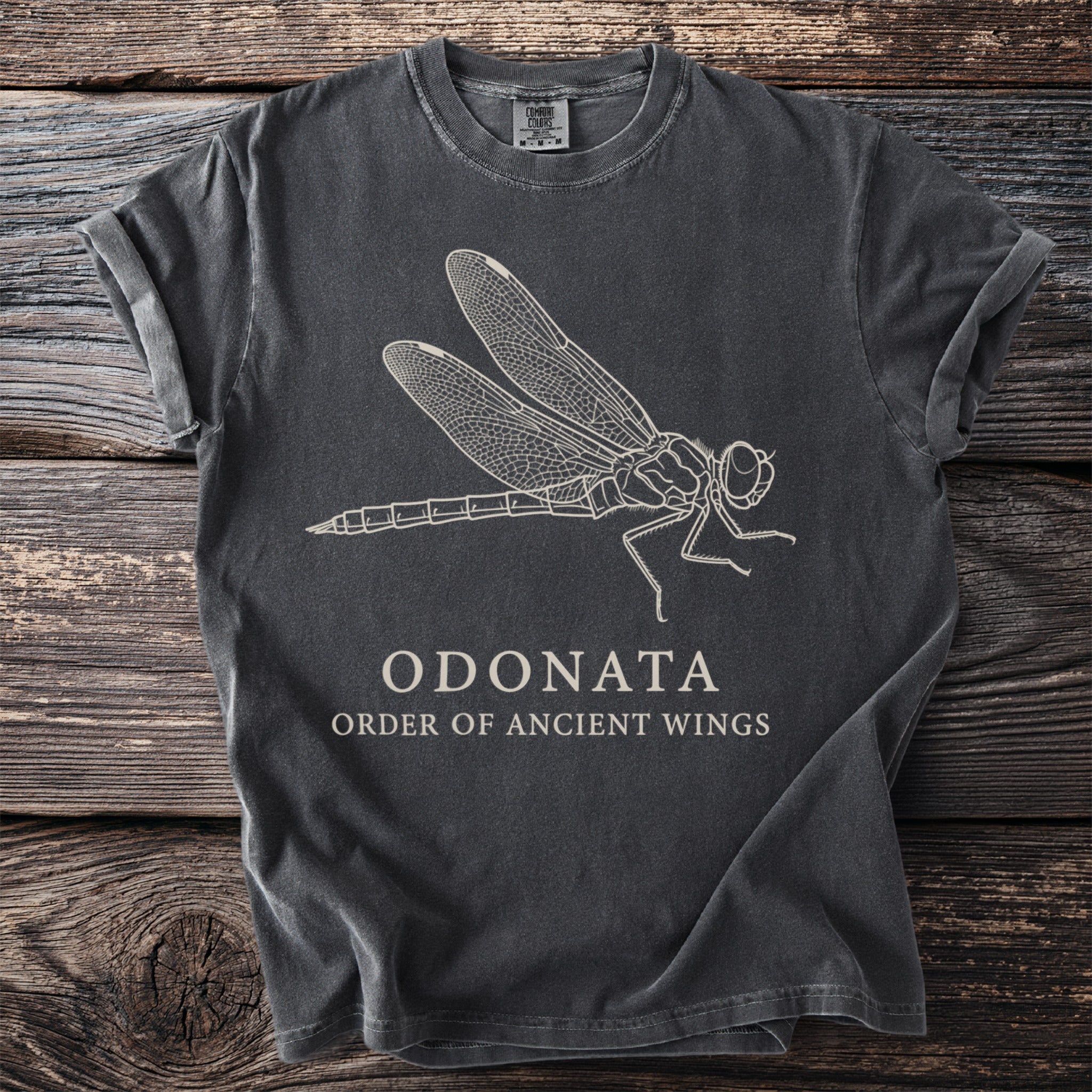 Dark gray t-shirt with line art of a dragonfly and the text "ODONATA ORDER OF ANCIENT WINGS".
