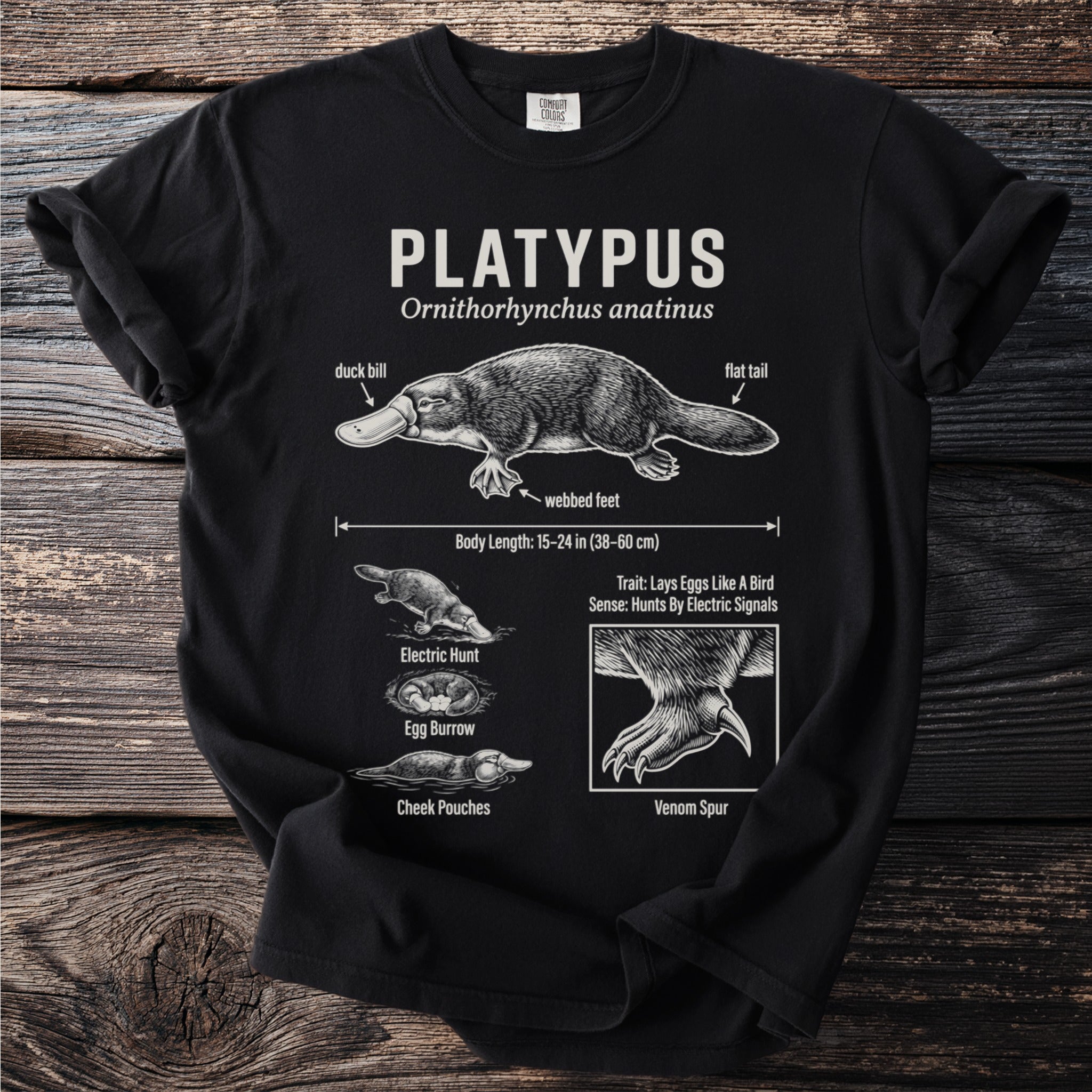 Black t-shirt with a platypus diagram showing its duck bill, flat tail, webbed feet, and venom spur.