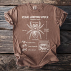 Brown t-shirt with Regal Jumping Spider anatomy diagram.