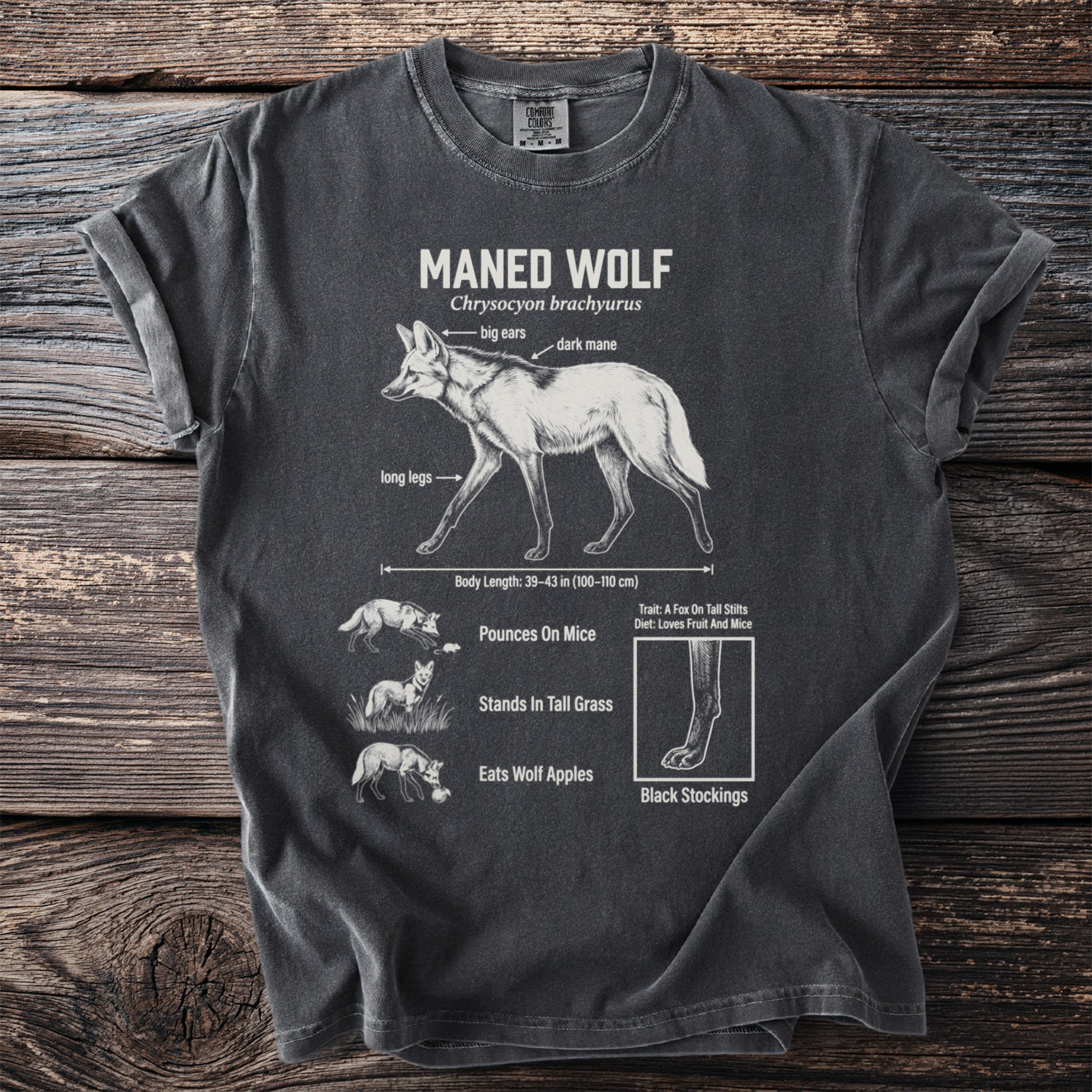 T-shirt with diagram of a maned wolf and its characteristics.