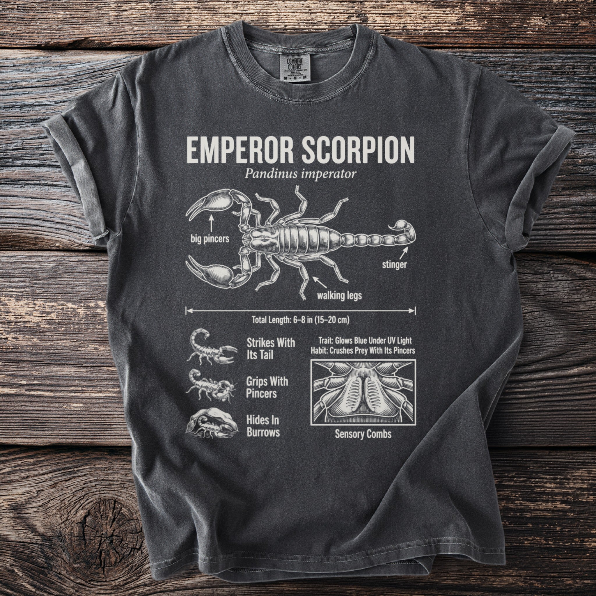 Dark grey t-shirt with Emperor Scorpion diagram and facts about Pandinus imperator.