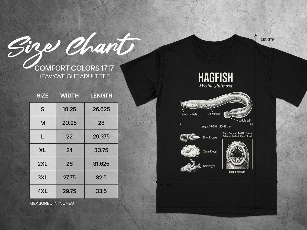 Comfort Colors 1717 heavyweight adult tee size chart with hagfish illustration.