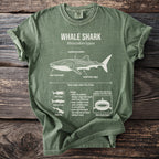 Green t-shirt with whale shark graphic and informational text.