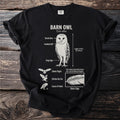 Barn owl anatomy chart with labels for facial disc, hooked bill, long legs, and silent edge feather.