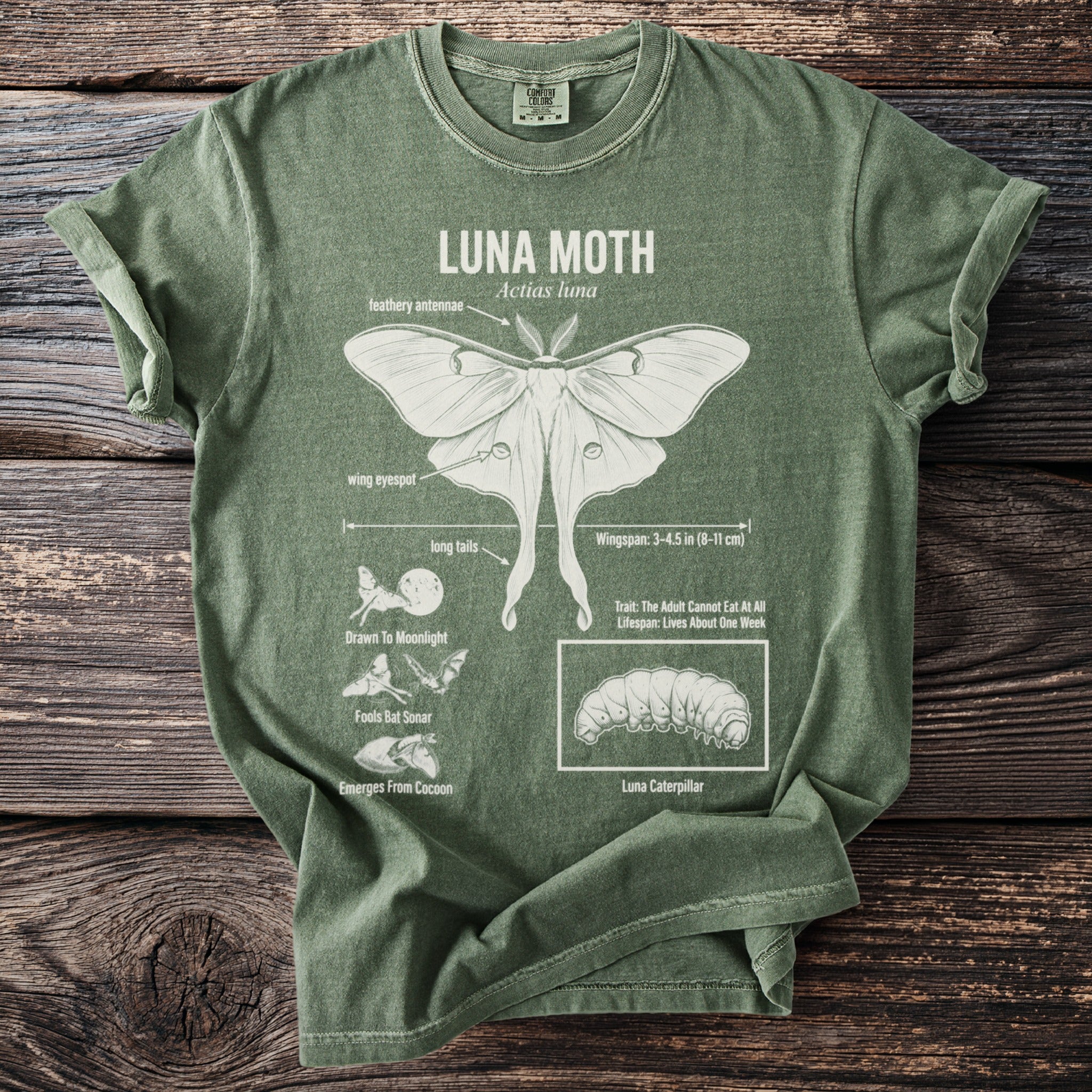 Green t-shirt with Luna Moth illustration and facts, including caterpillar.
