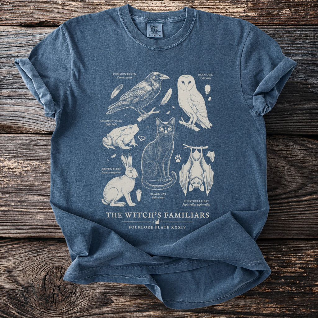 Blue t-shirt with "The Witch's Familiars" print featuring a cat, raven, owl, toad, hare, and bat.