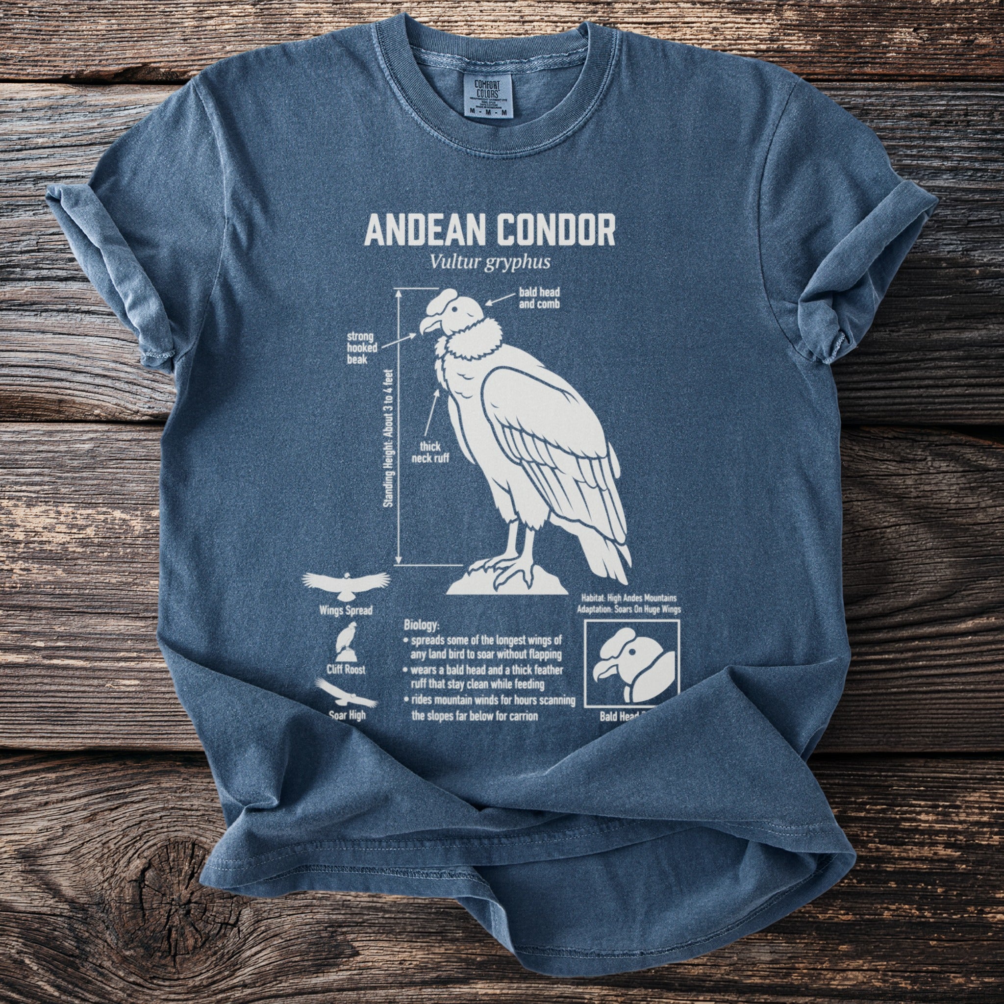 Blue t-shirt with an informational graphic about the Andean Condor.