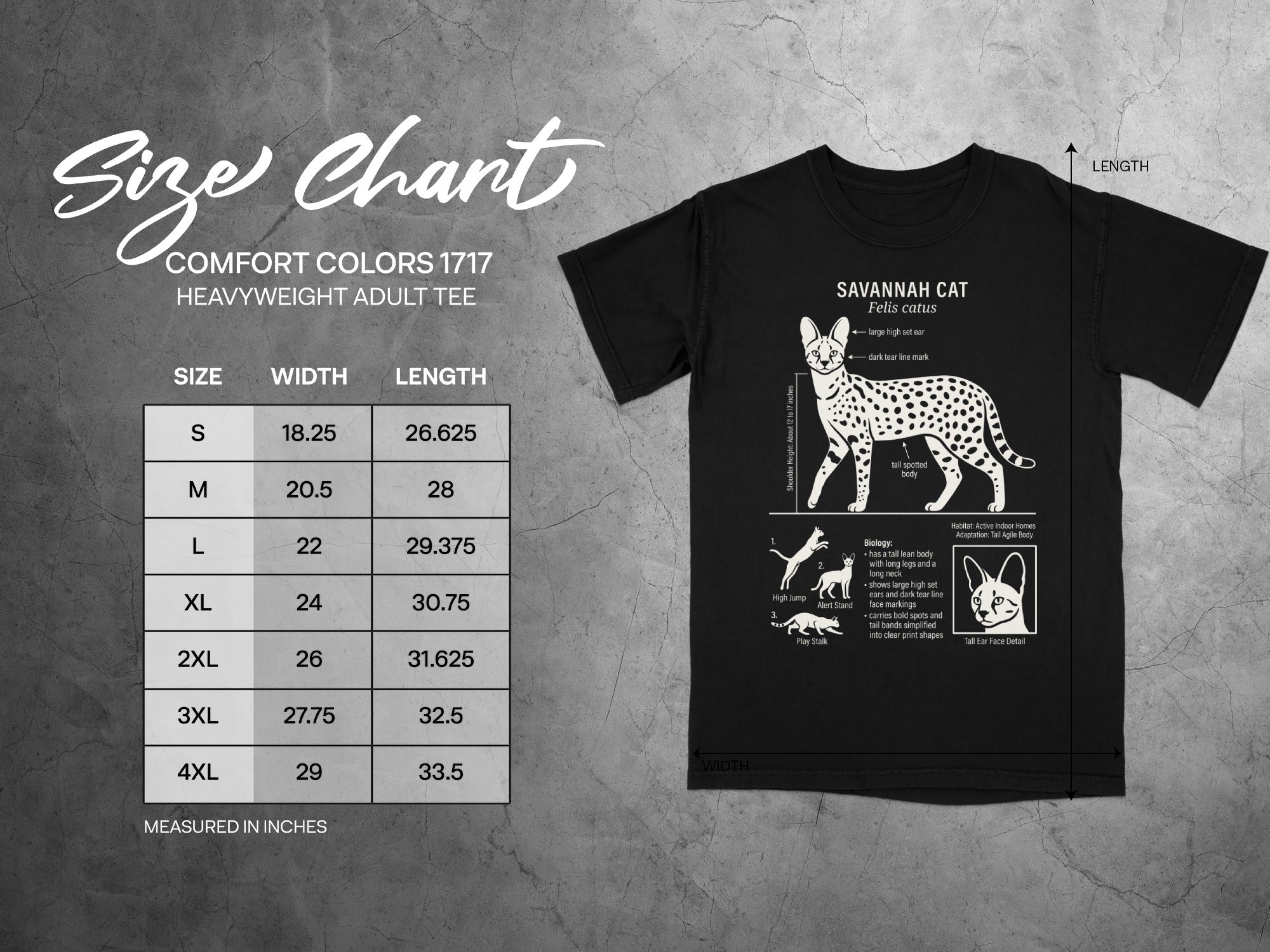Comfort Colors 1717 heavyweight adult tee size chart with Savannah cat illustration.