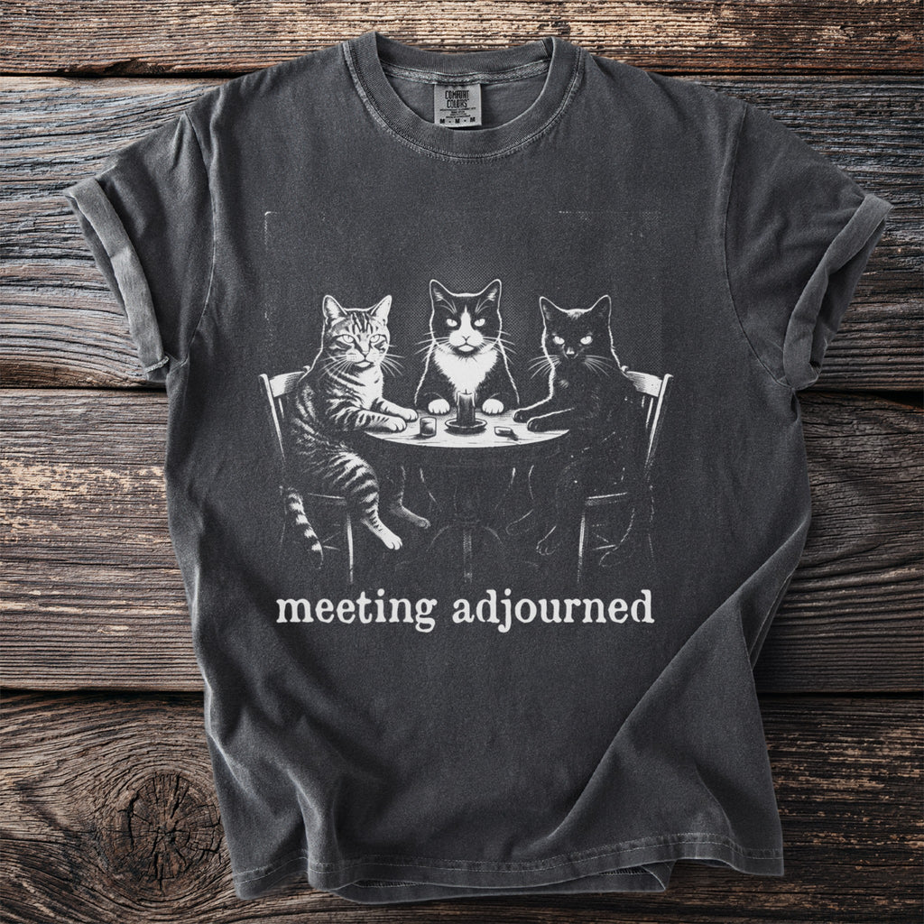Three cats sit at a table with a candle, text reads "meeting adjourned".