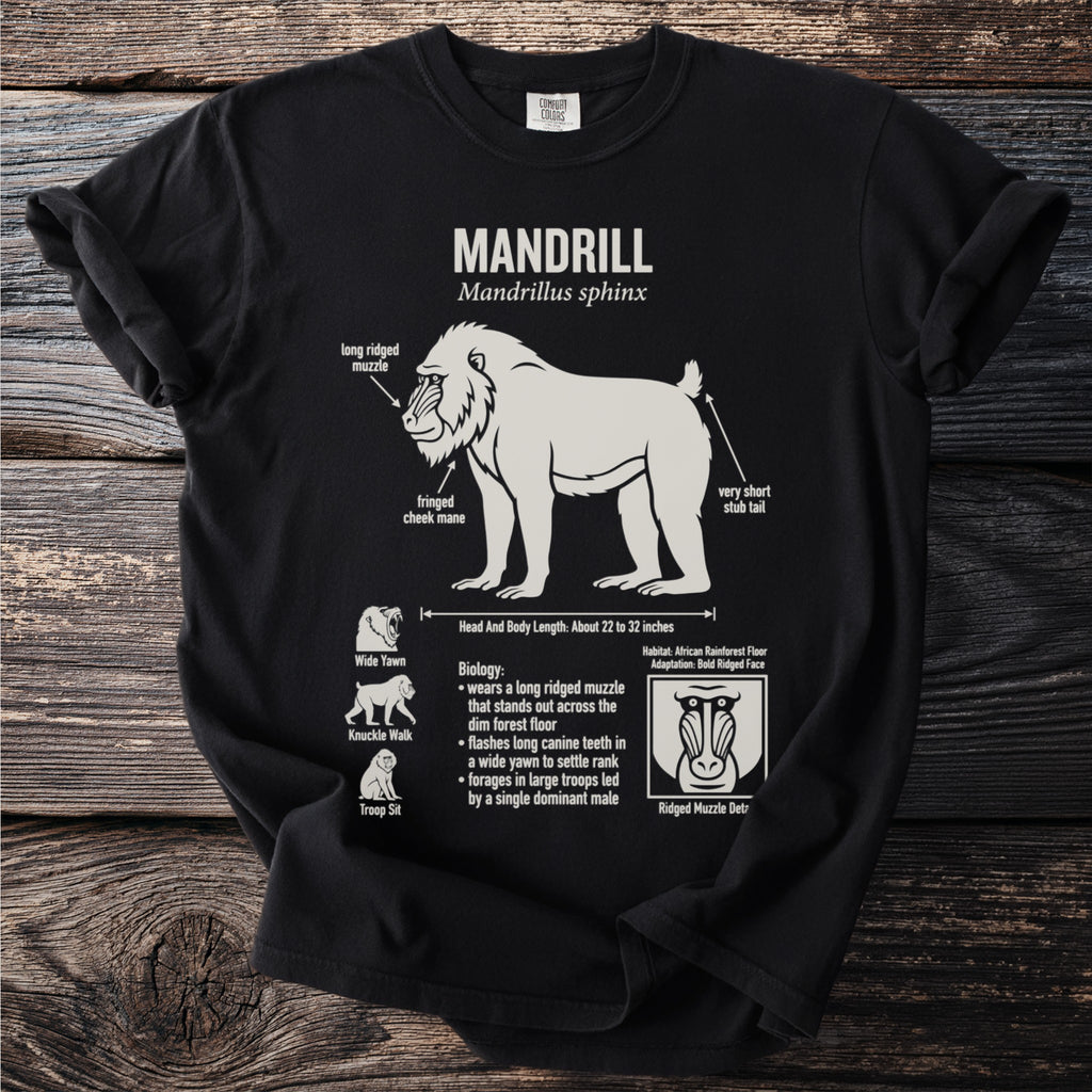 Black t-shirt with a scientific illustration and facts about the Mandrill.