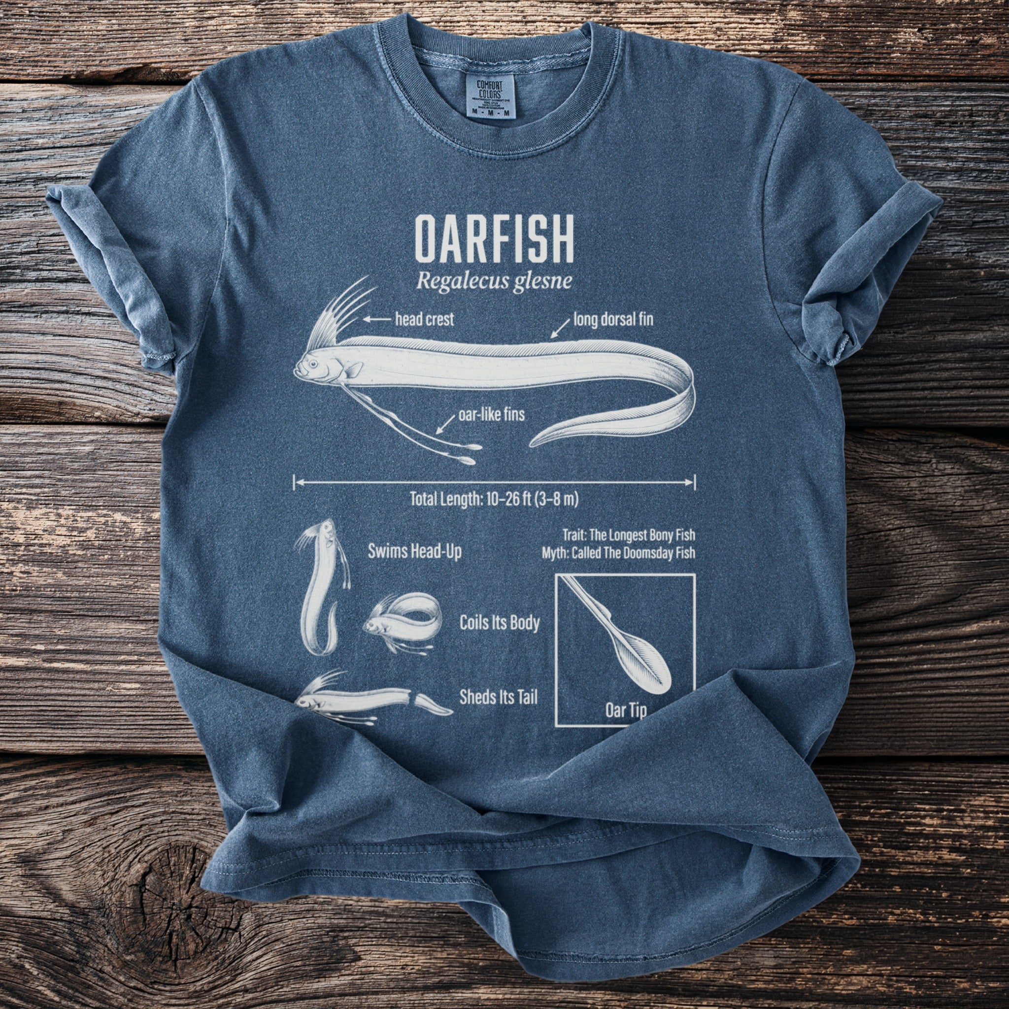 Blue t-shirt with diagram and facts about the Oarfish (Regalecus glesne).