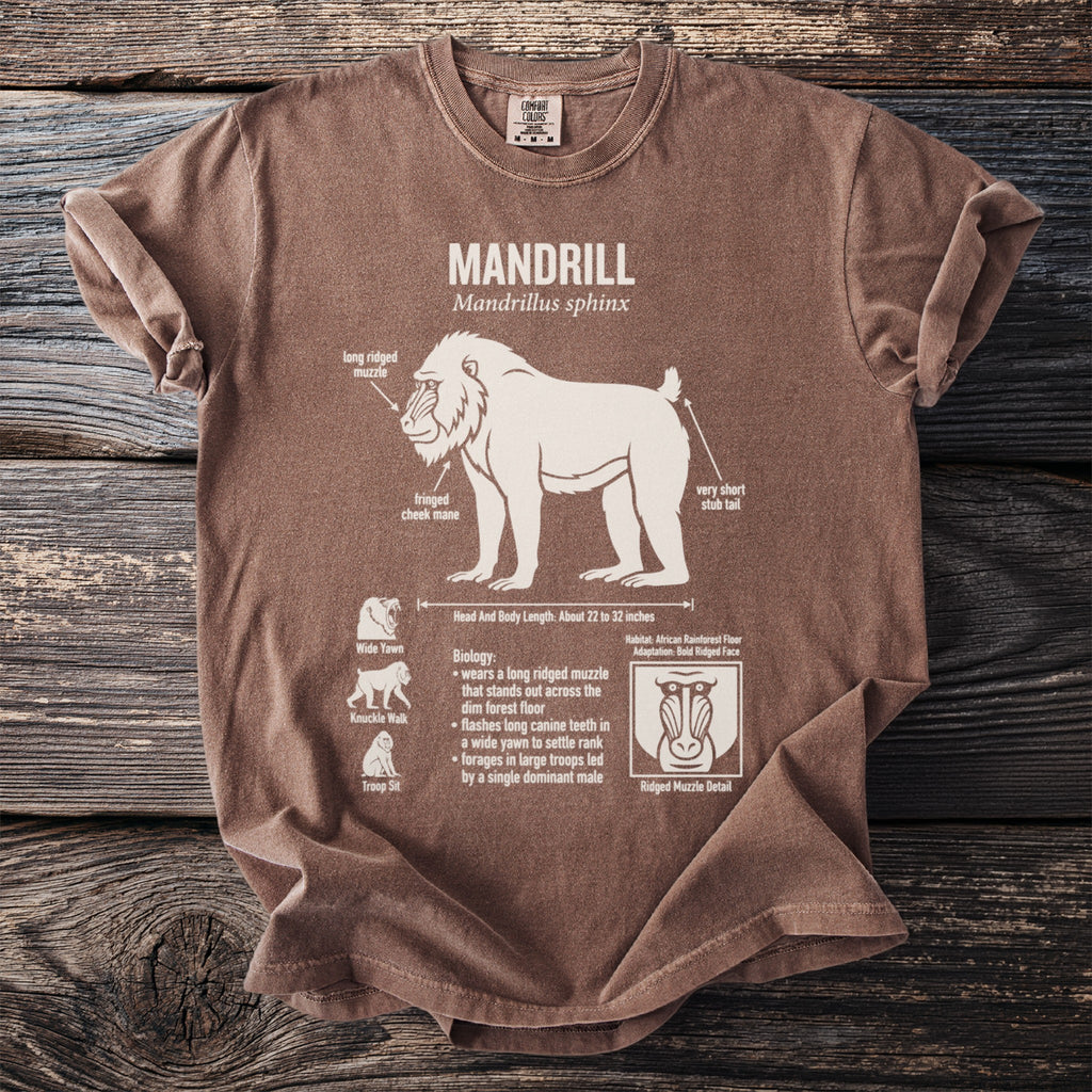 Brown t-shirt featuring a scientific illustration of a mandrill with labeled anatomy.